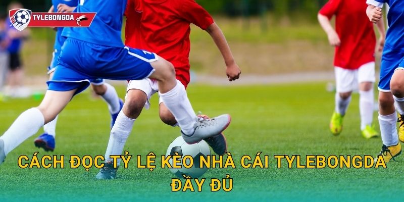 Cách đọc tỷ lệ kèo nhà cái Tylebongda đầy đủ