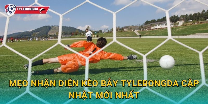 Mẹo nhận diện kèo bẫy Tylebongda cập nhật mới nhất