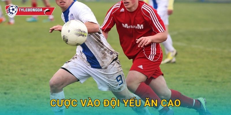 Cược vào đội yếu ăn cao Tylebongda – Chiến lược mạo hiểm nhưng tiềm năng